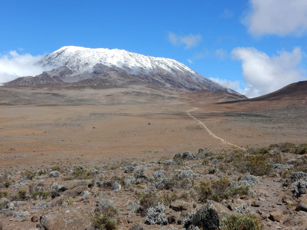 kilimanjaro